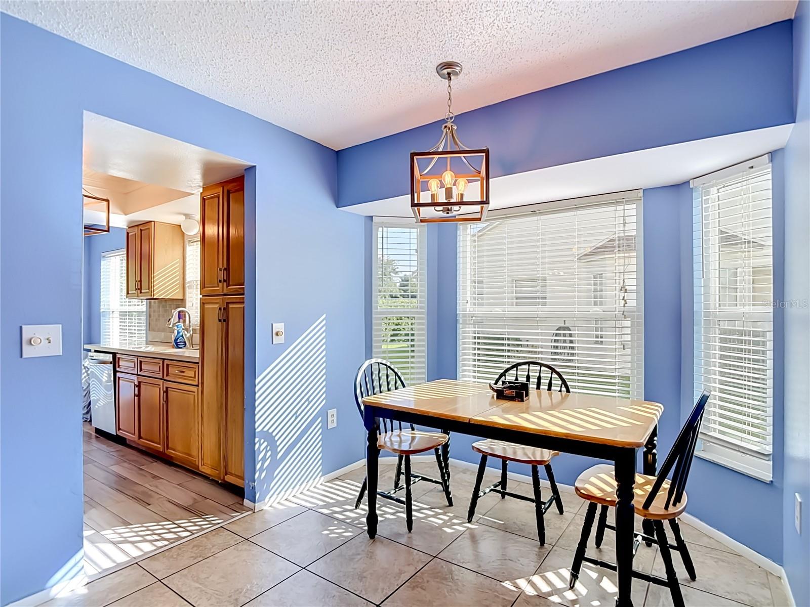 11543 ORLEANS LN, PORT RICHEY, FL — photo 7