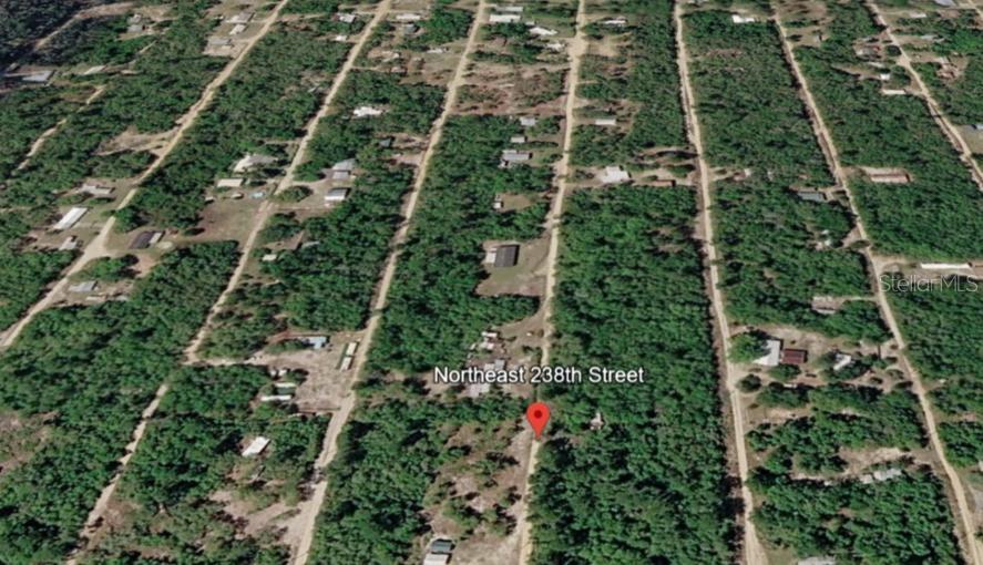15589 NE 238TH ST, FORT MC COY, FL