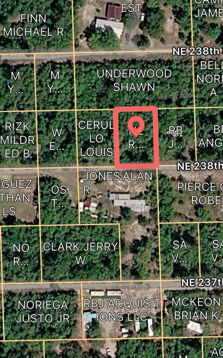 15589 NE 238TH ST, FORT MC COY, FL — photo 2