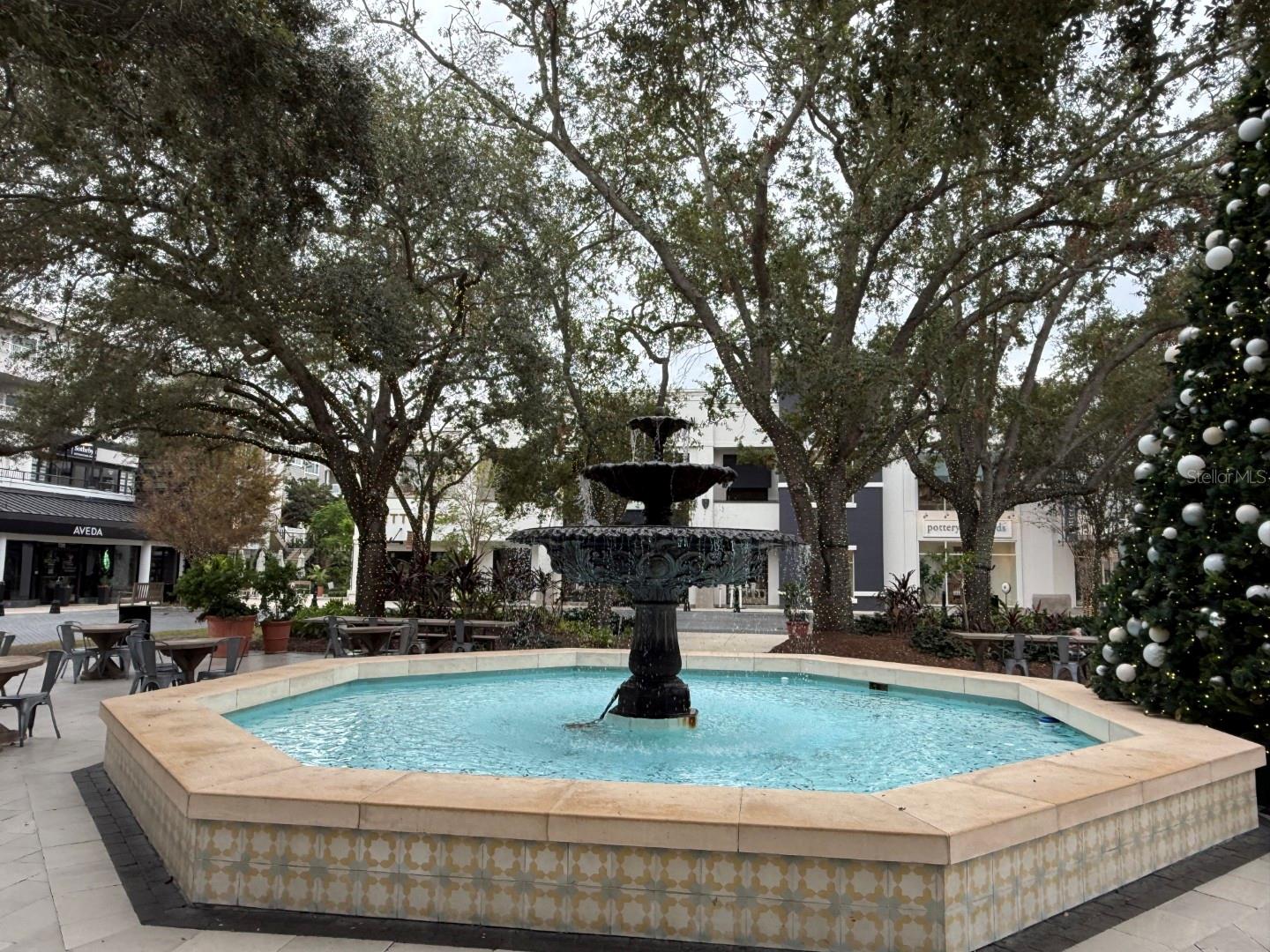 1715 W CARMEN ST, TAMPA, FL — photo 4