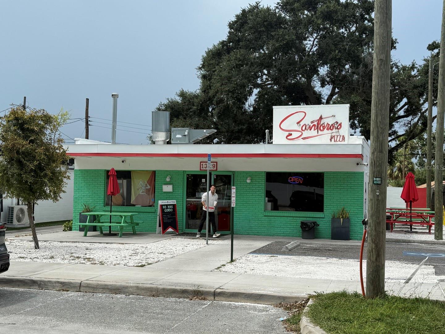 1715 W CARMEN ST, TAMPA, FL — photo 9
