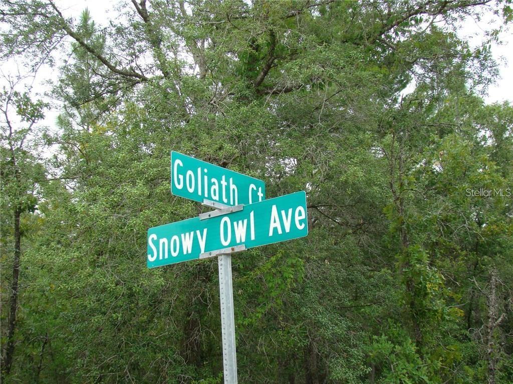 0 GOLIATH CT, WEEKI WACHEE, FL — photo 2