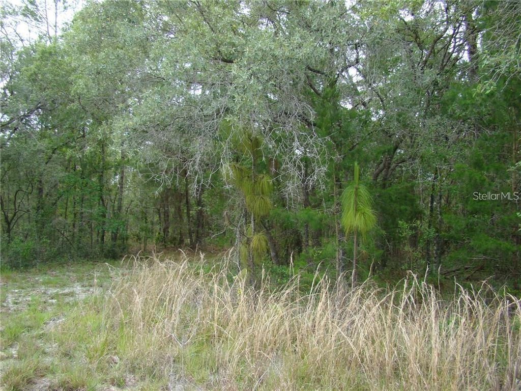 0 GOLIATH CT, WEEKI WACHEE, FL — photo 3