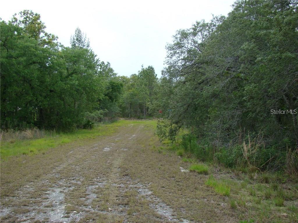 0 GOLIATH CT, WEEKI WACHEE, FL — photo 4