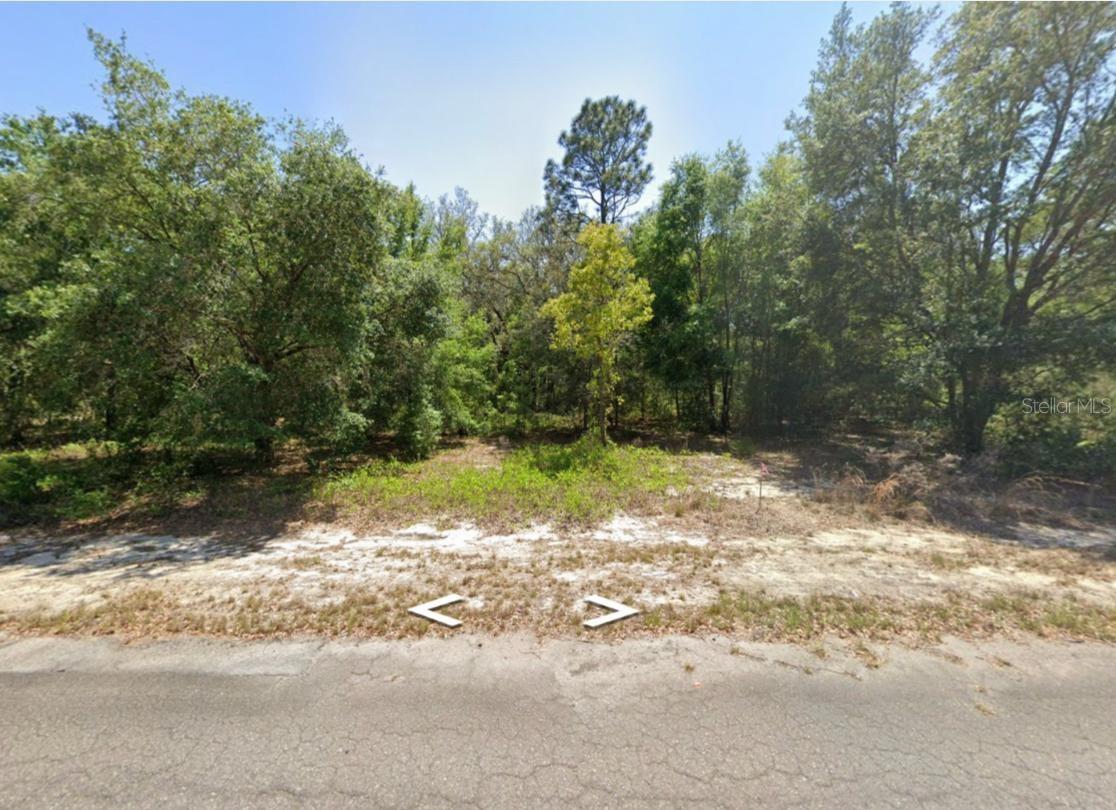 0 GUAVA LANE PL, OCKLAWAHA, FL