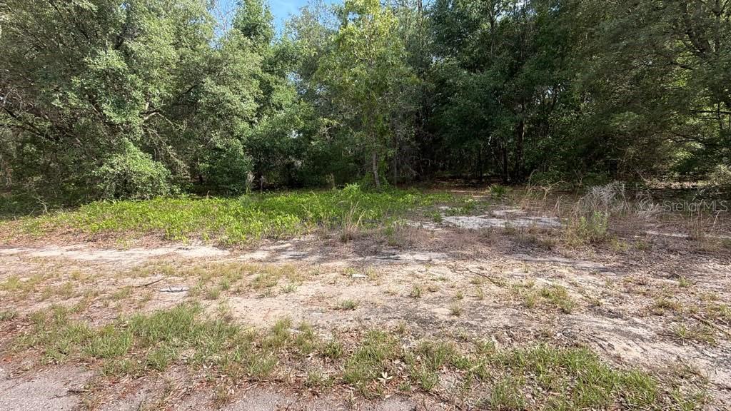 0 GUAVA LANE PL, OCKLAWAHA, FL — photo 2