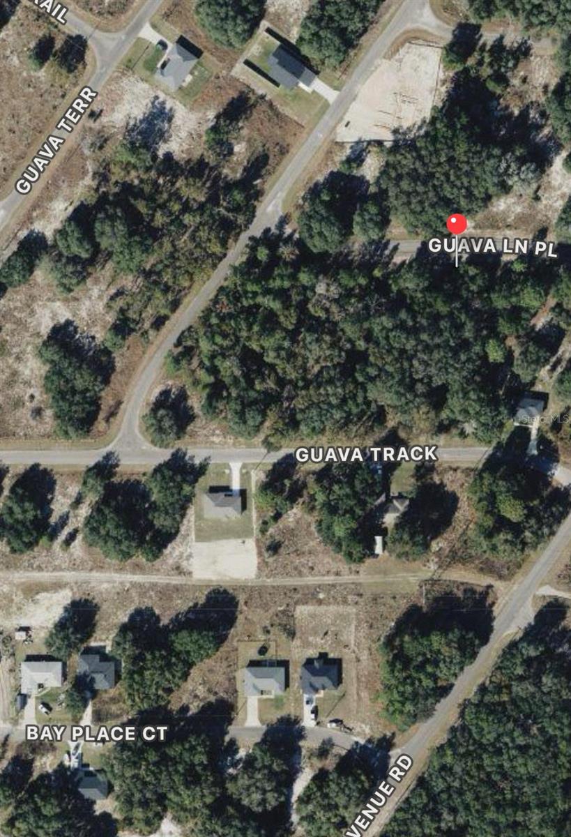 0 GUAVA LANE PL, OCKLAWAHA, FL — photo 3
