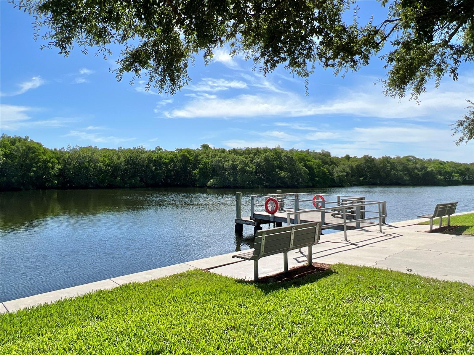 425 MOUNT PINEY AVE NE #681, ST PETERSBURG, FL — photo 23
