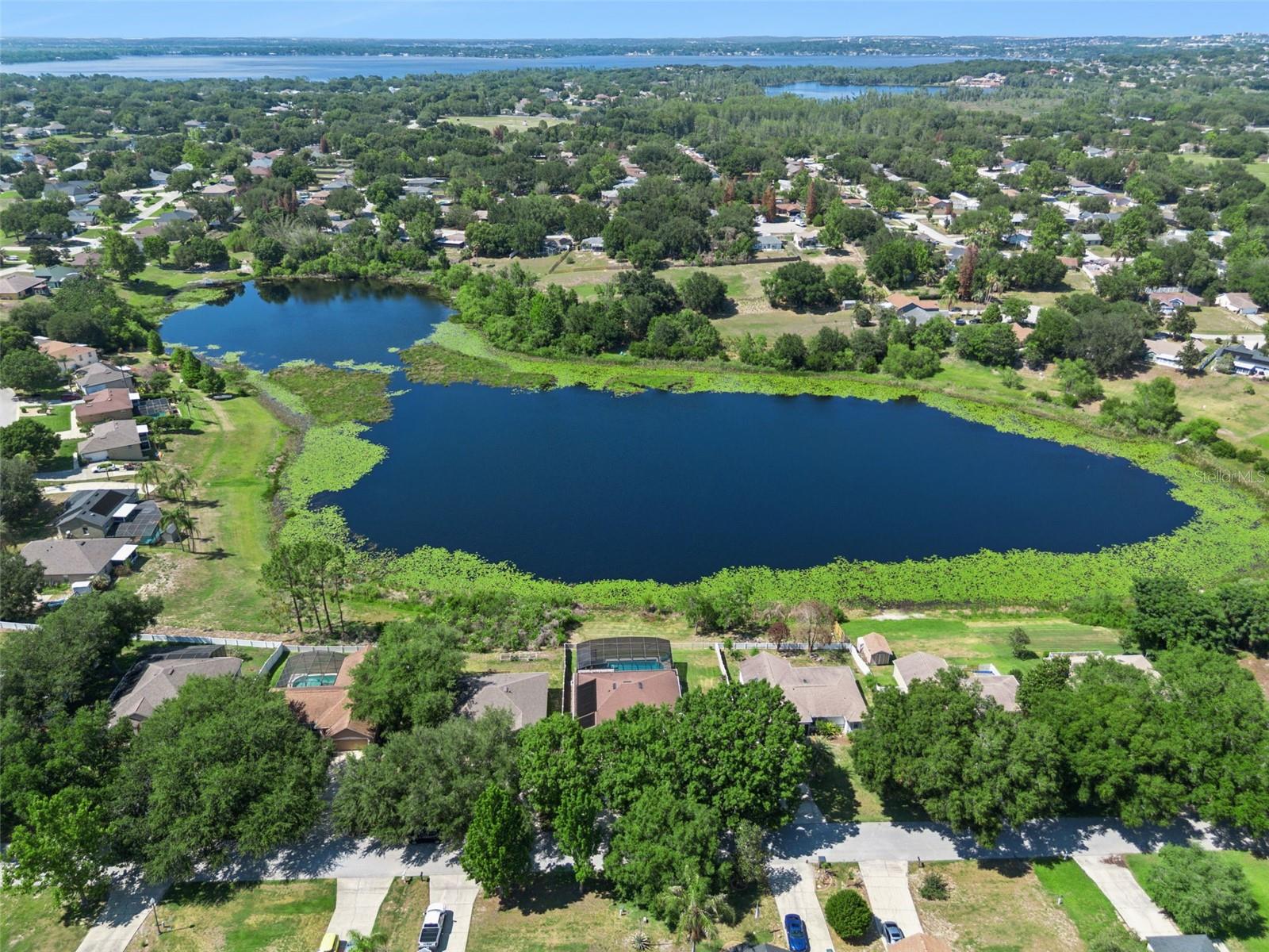 11620 PINELOCH LOOP, CLERMONT, FL — photo 43