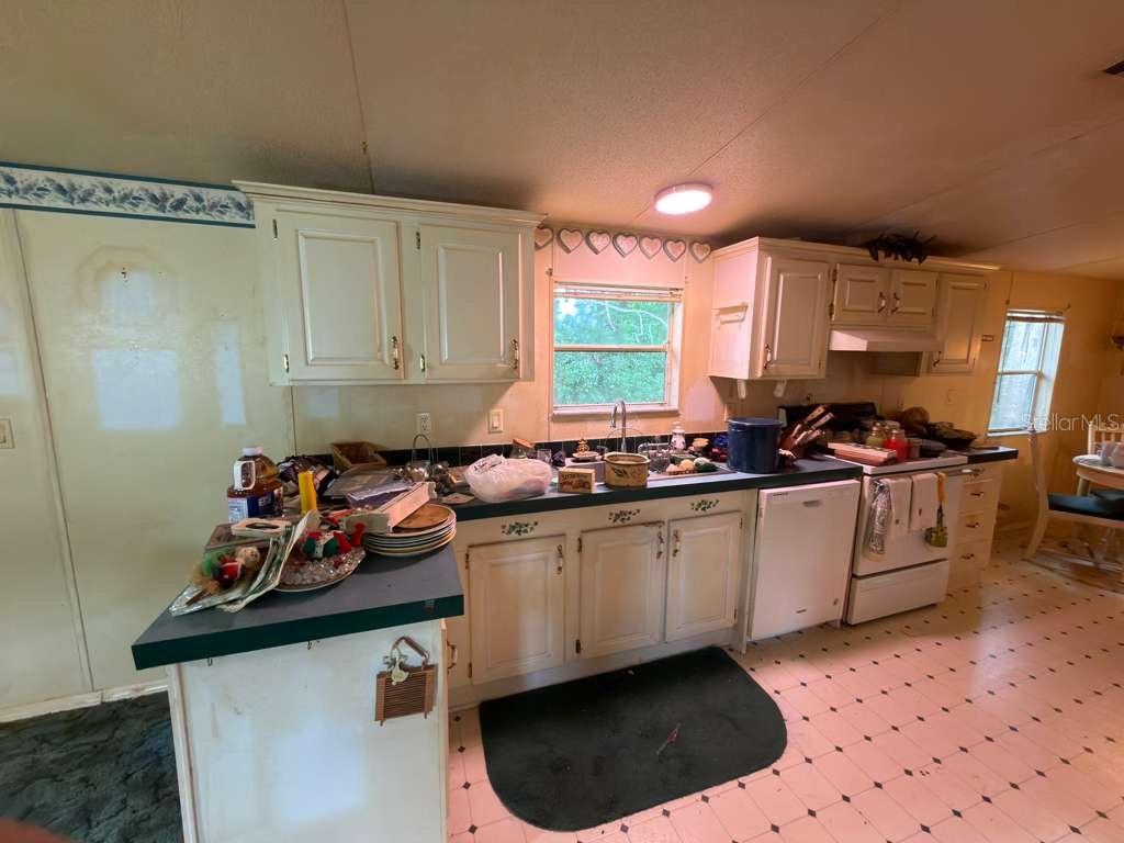 2011 PINEWOOD LN, MOUNT DORA, FL — photo 9