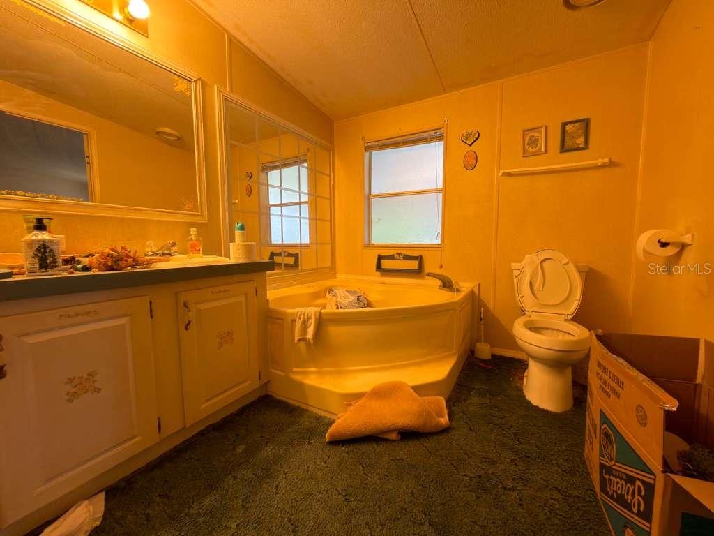 2011 PINEWOOD LN, MOUNT DORA, FL — photo 11