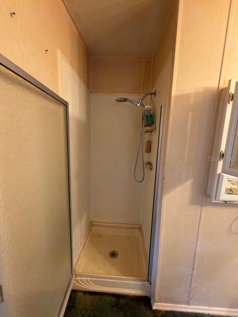 2011 PINEWOOD LN, MOUNT DORA, FL — photo 24