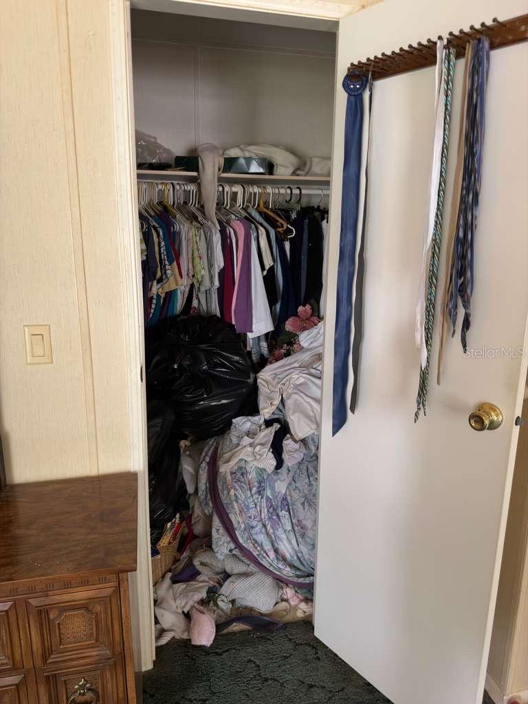 2011 PINEWOOD LN, MOUNT DORA, FL — photo 27