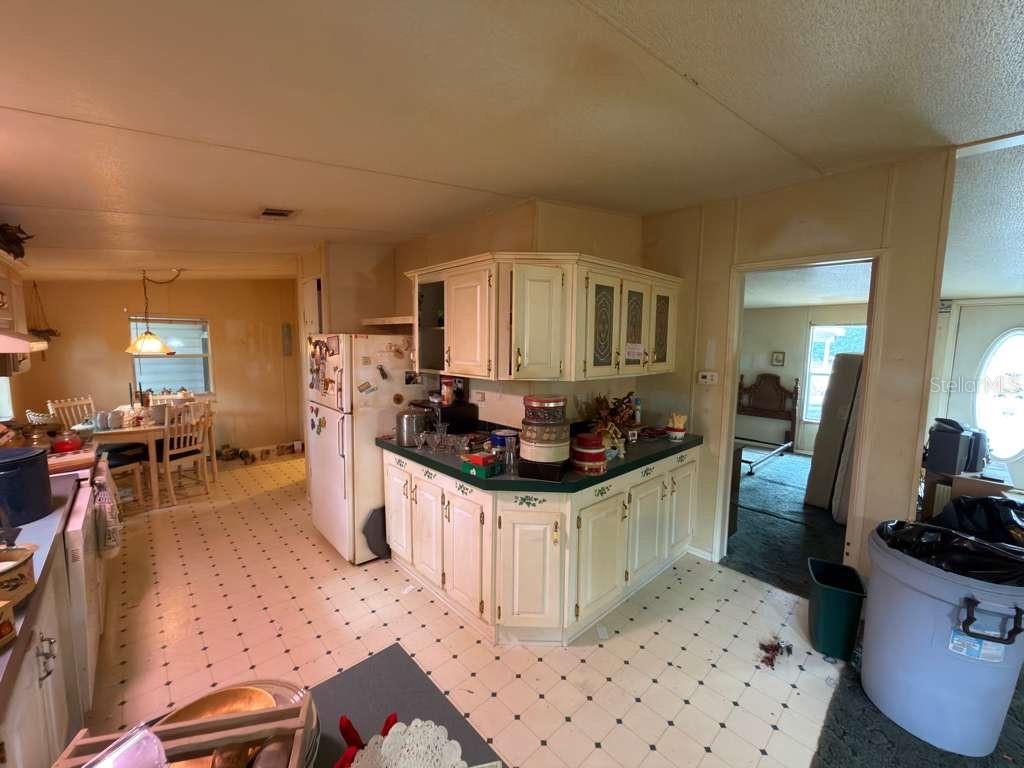 2011 PINEWOOD LN, MOUNT DORA, FL — photo 39