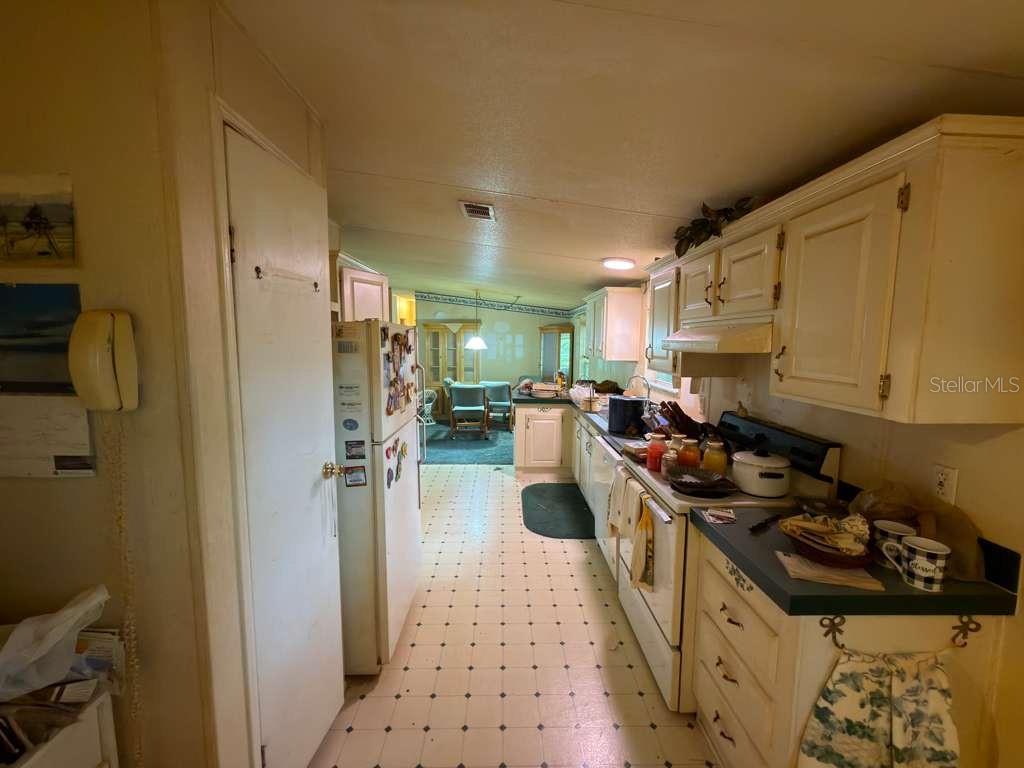 2011 PINEWOOD LN, MOUNT DORA, FL — photo 45