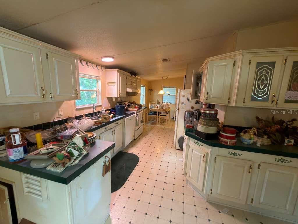 2011 PINEWOOD LN, MOUNT DORA, FL — photo 47