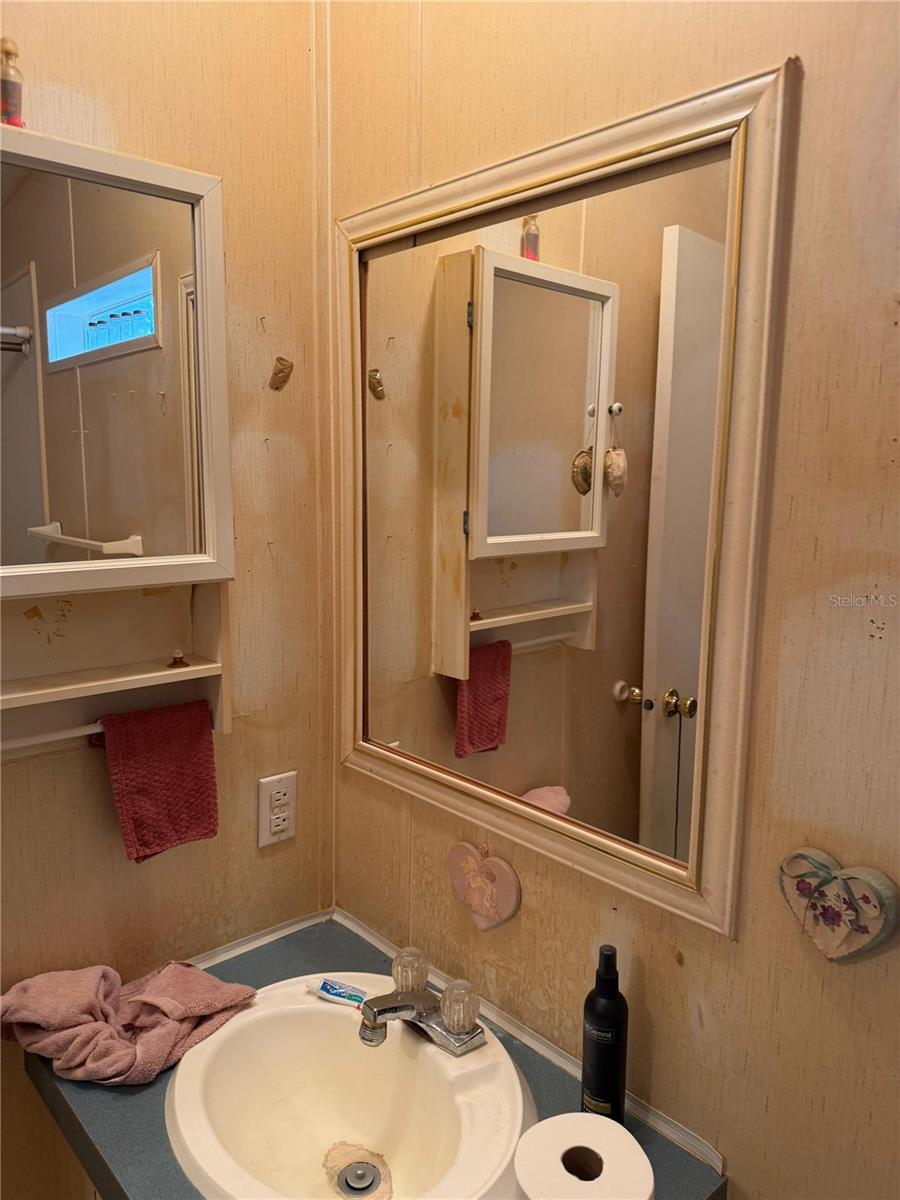 2011 PINEWOOD LN, MOUNT DORA, FL — photo 73