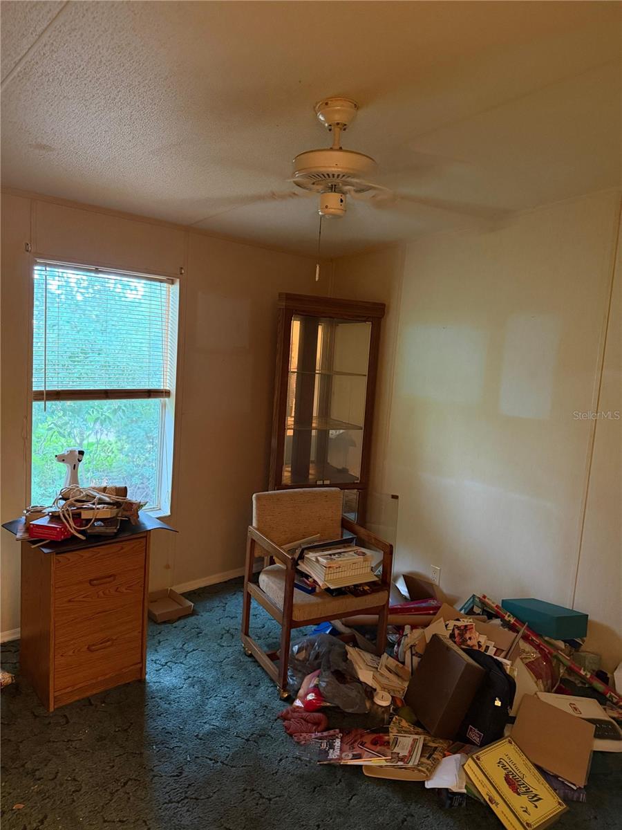 2011 PINEWOOD LN, MOUNT DORA, FL — photo 85