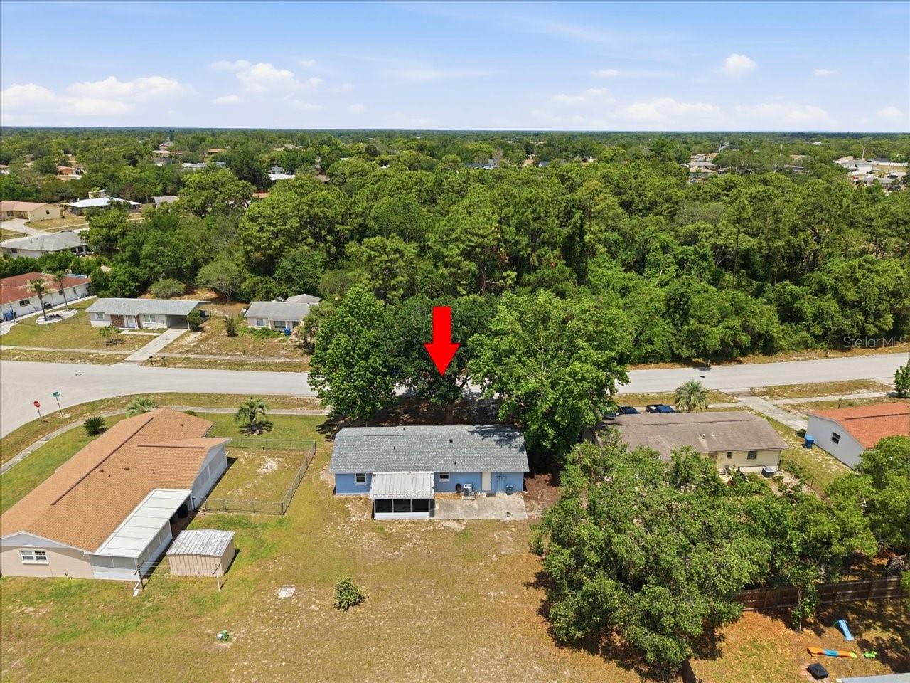 12452 EDDINGTON RD, SPRING HILL, FL — photo 9