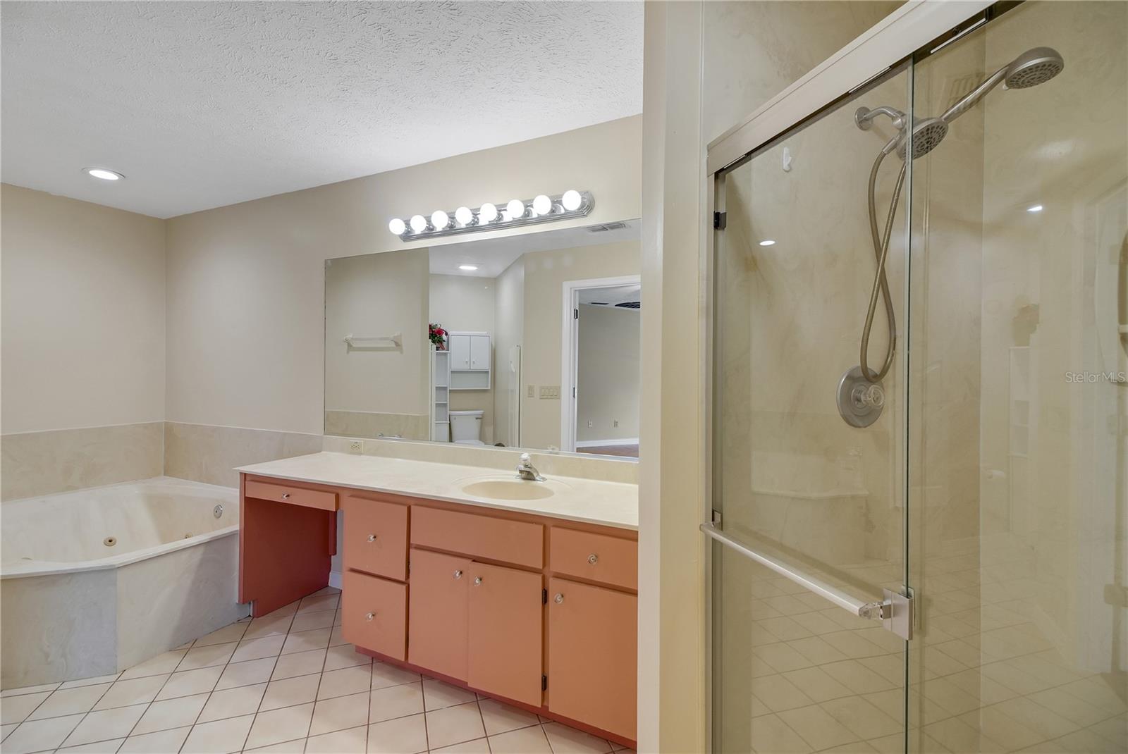 317 WOODLAND TRL, LADY LAKE, FL — photo 106