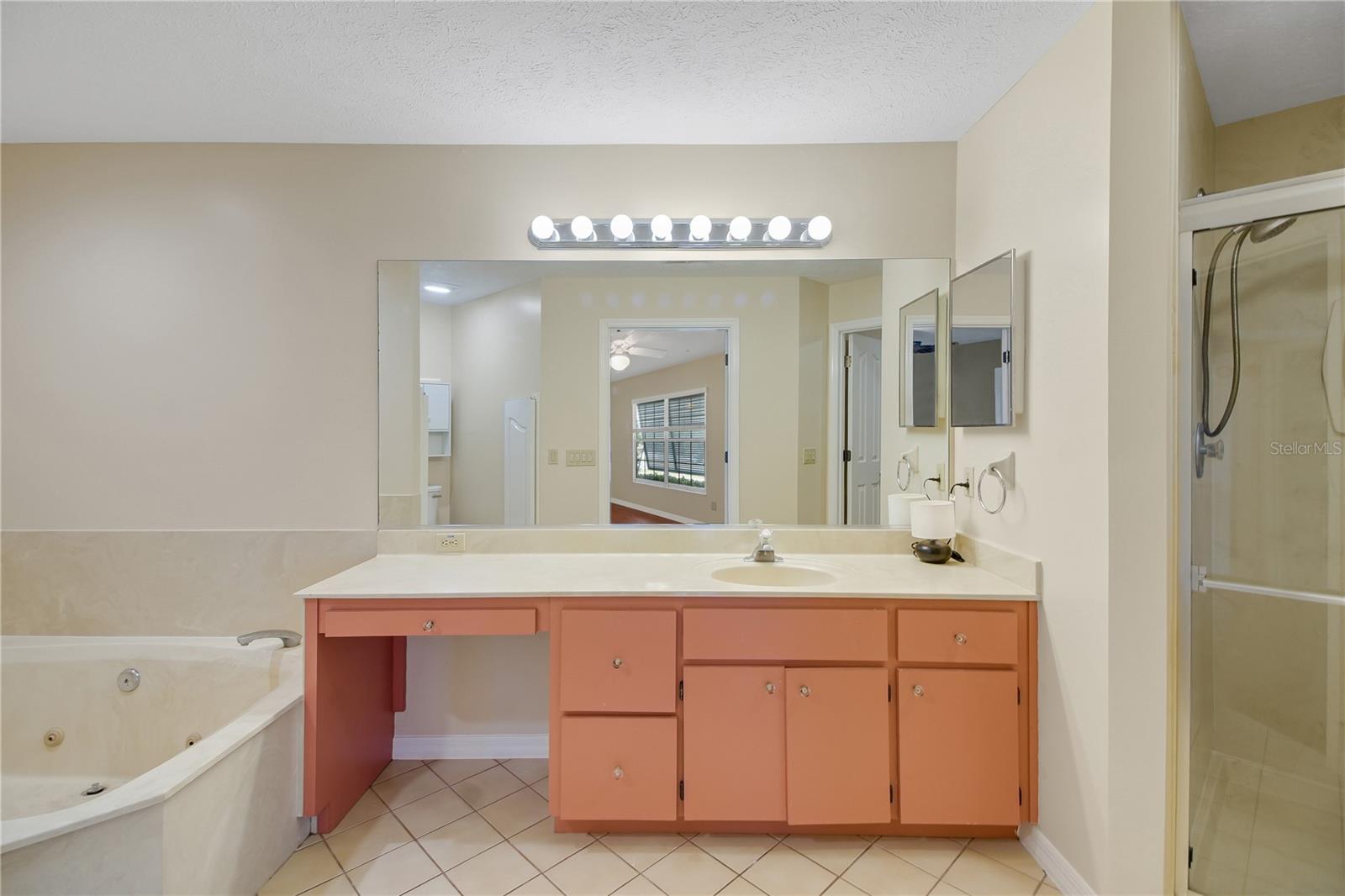 317 WOODLAND TRL, LADY LAKE, FL — photo 107