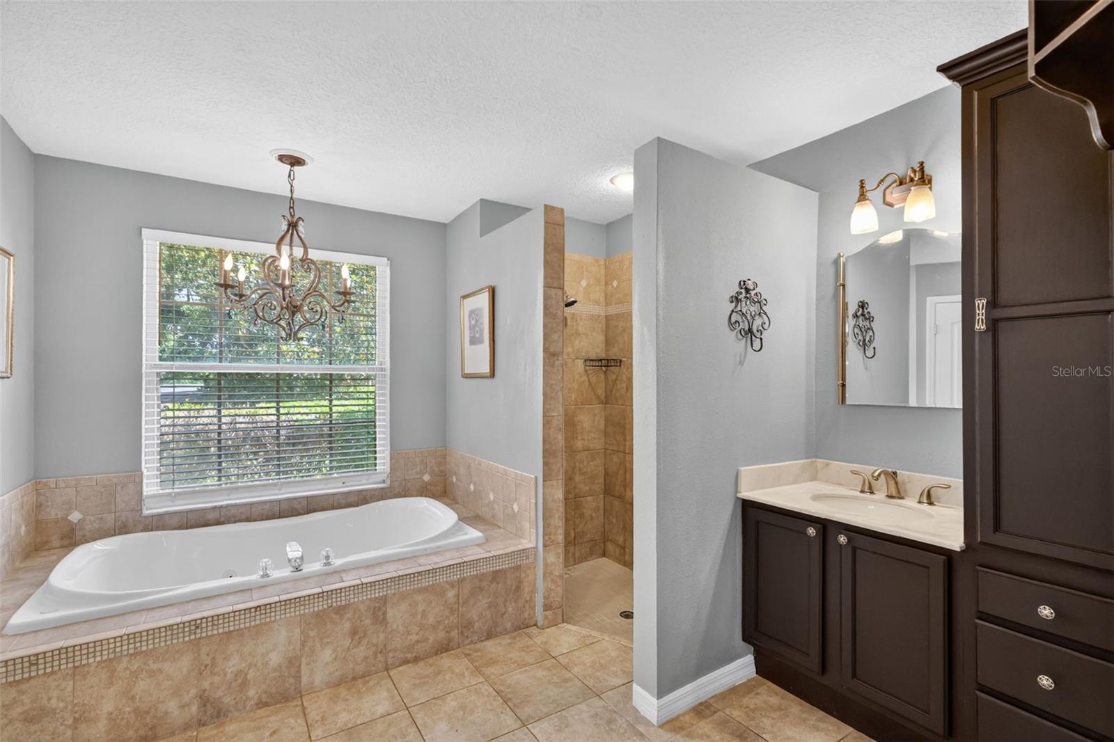 11424 VIA DE RENEE PL, CLERMONT, FL — photo 38
