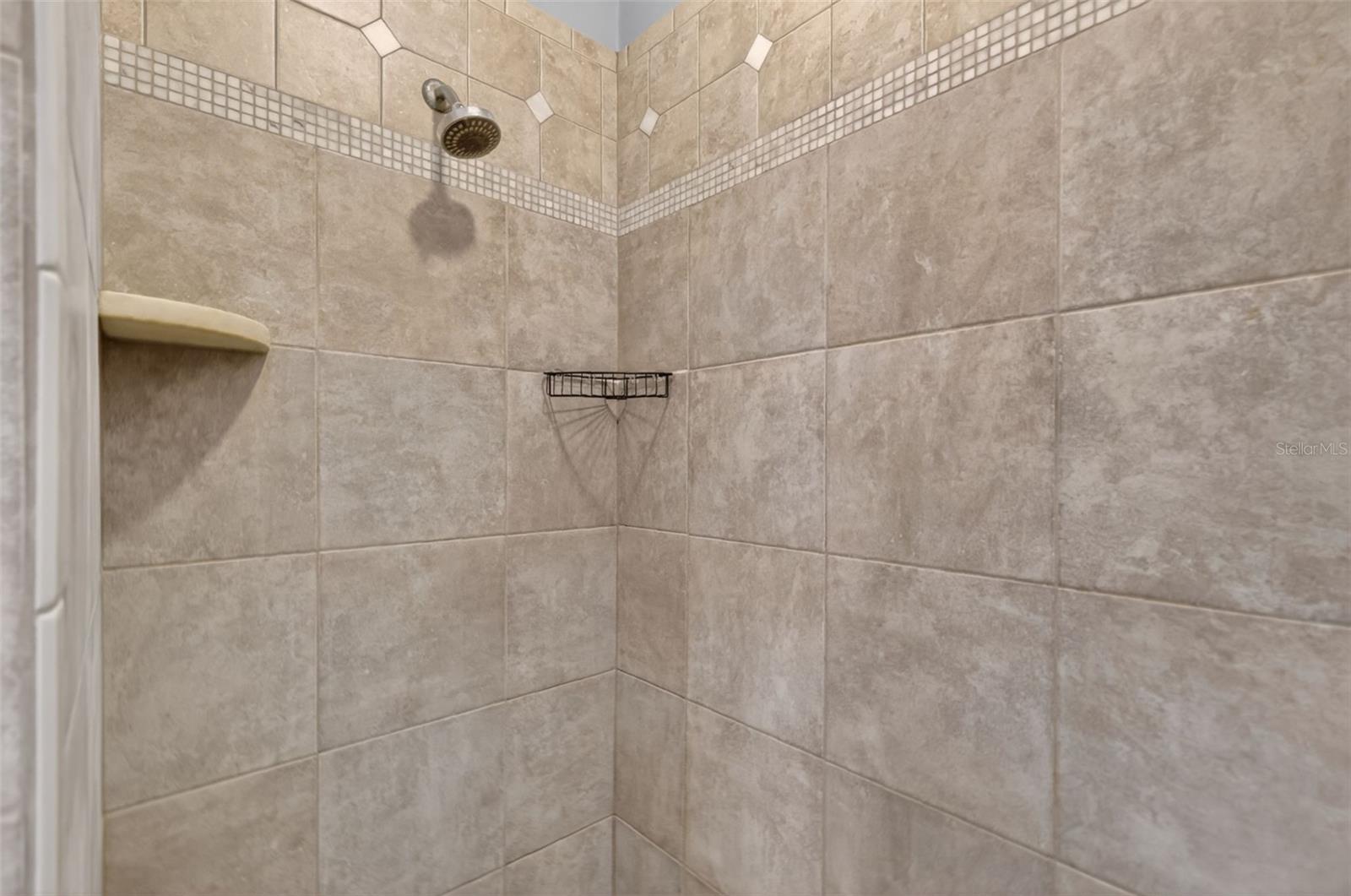 11424 VIA DE RENEE PL, CLERMONT, FL — photo 40