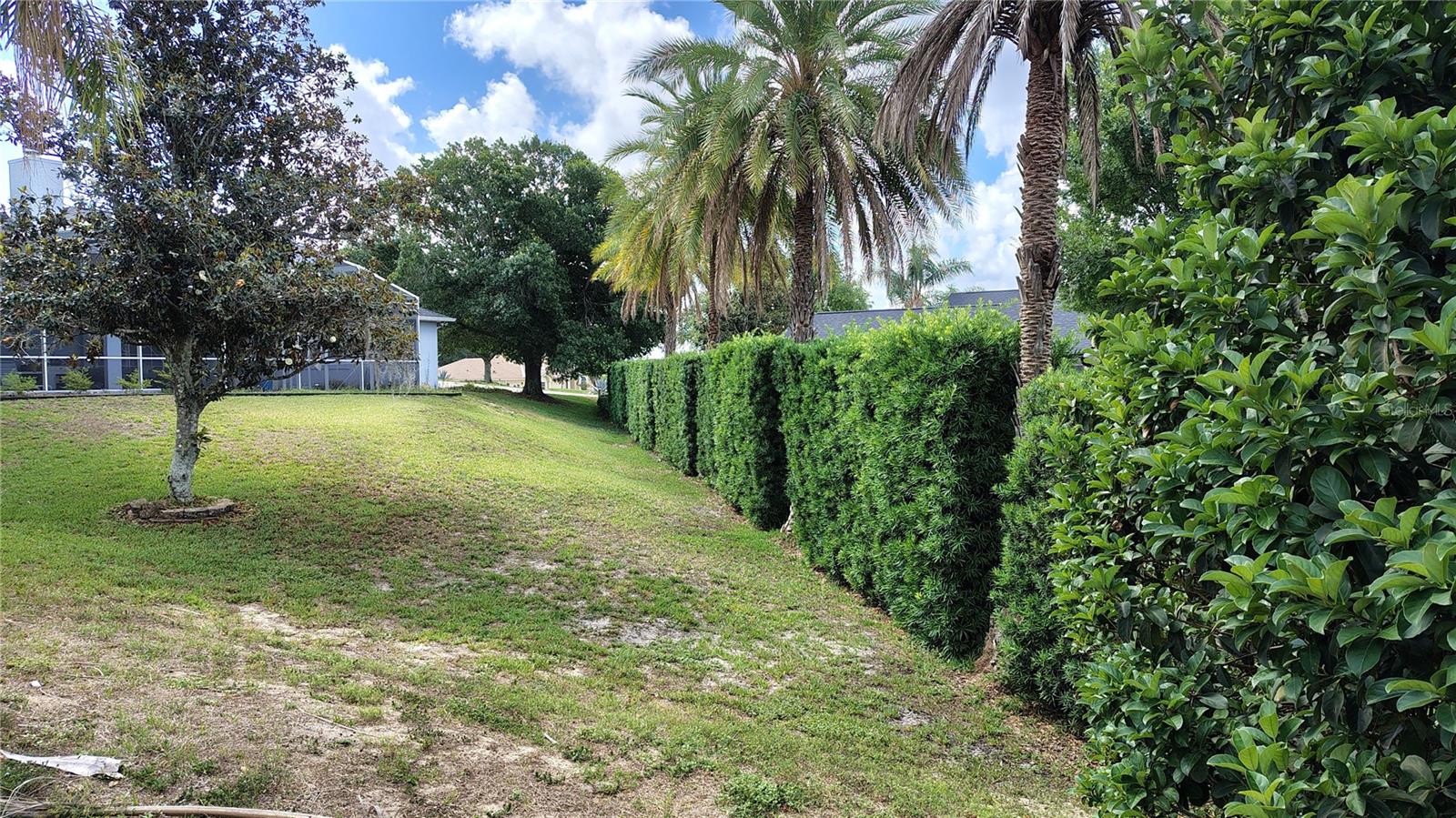11424 VIA DE RENEE PL, CLERMONT, FL — photo 73