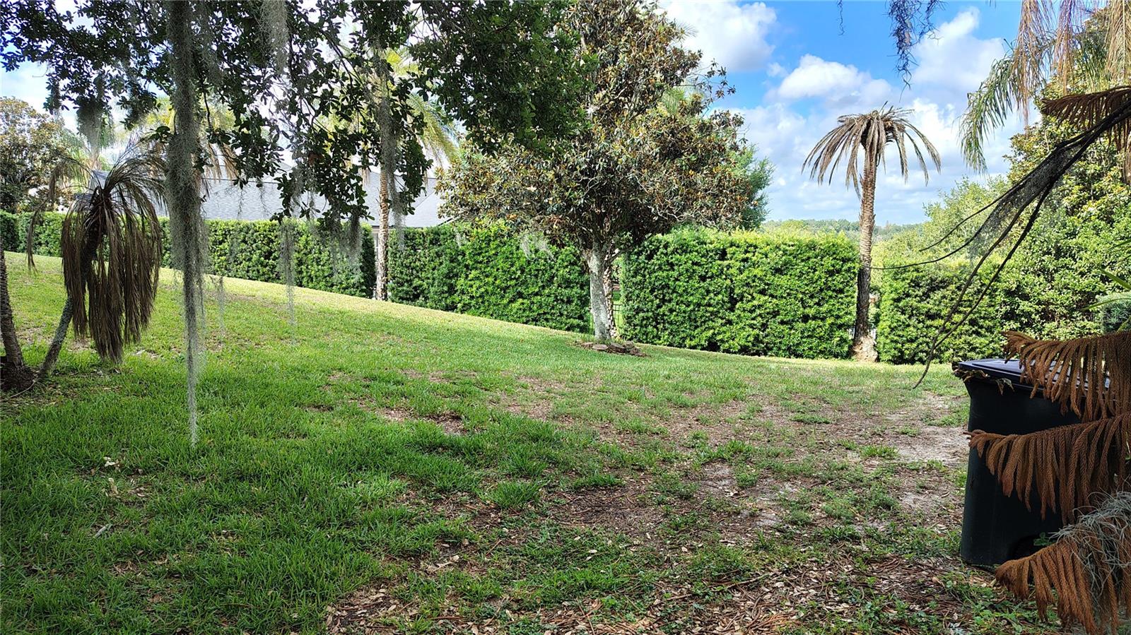 11424 VIA DE RENEE PL, CLERMONT, FL — photo 76