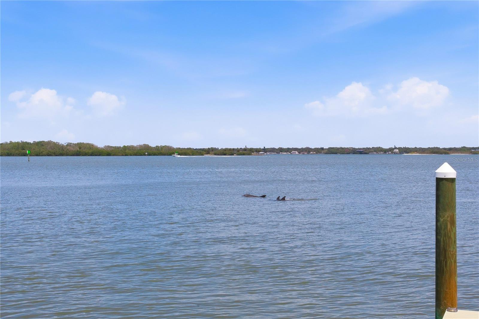 547 JOHNS PASS AVE, MADEIRA BEACH, FL — photo 70