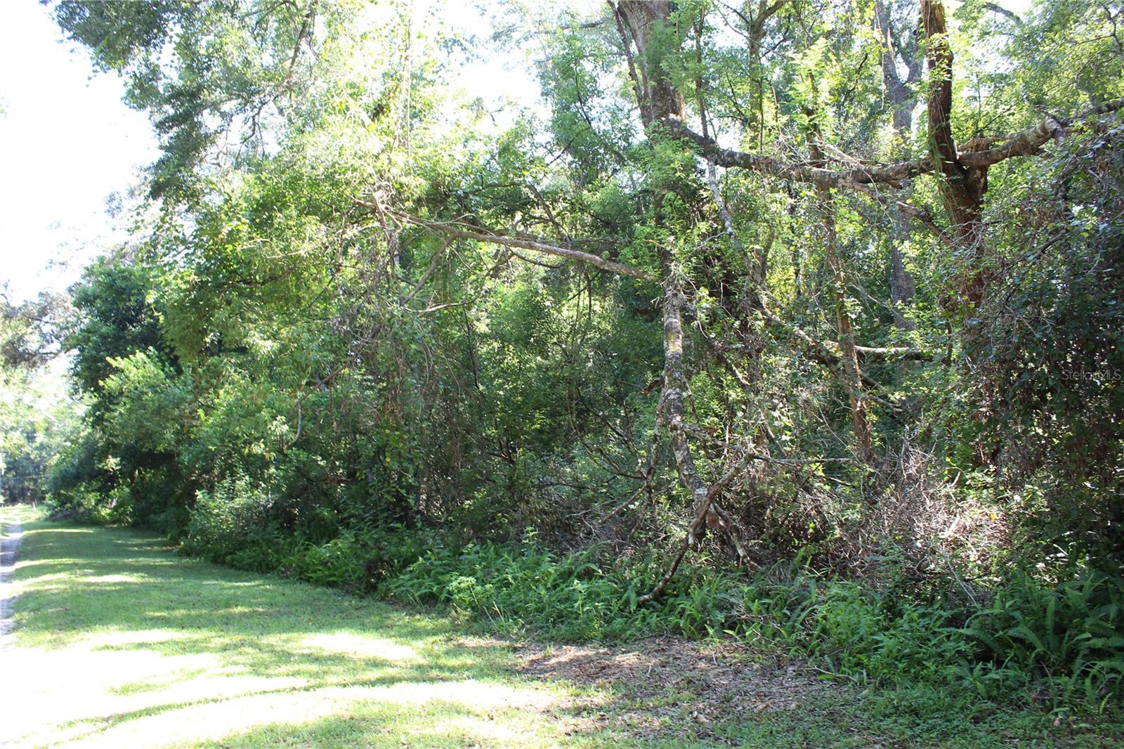 GRAND AVE, BROOKSVILLE, FL — photo 3