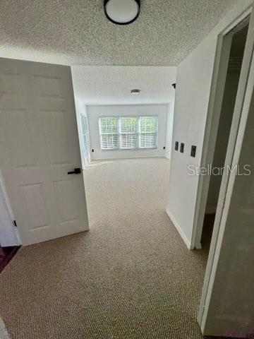 2462 KINGFISHER LN #J203, CLEARWATER, FL — photo 13