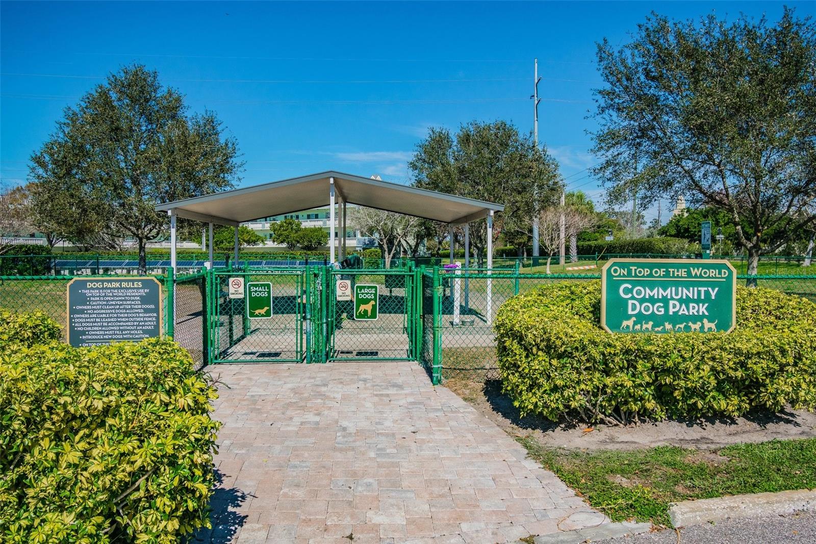 2462 BRAZILIA DR #42, CLEARWATER, FL — photo 35