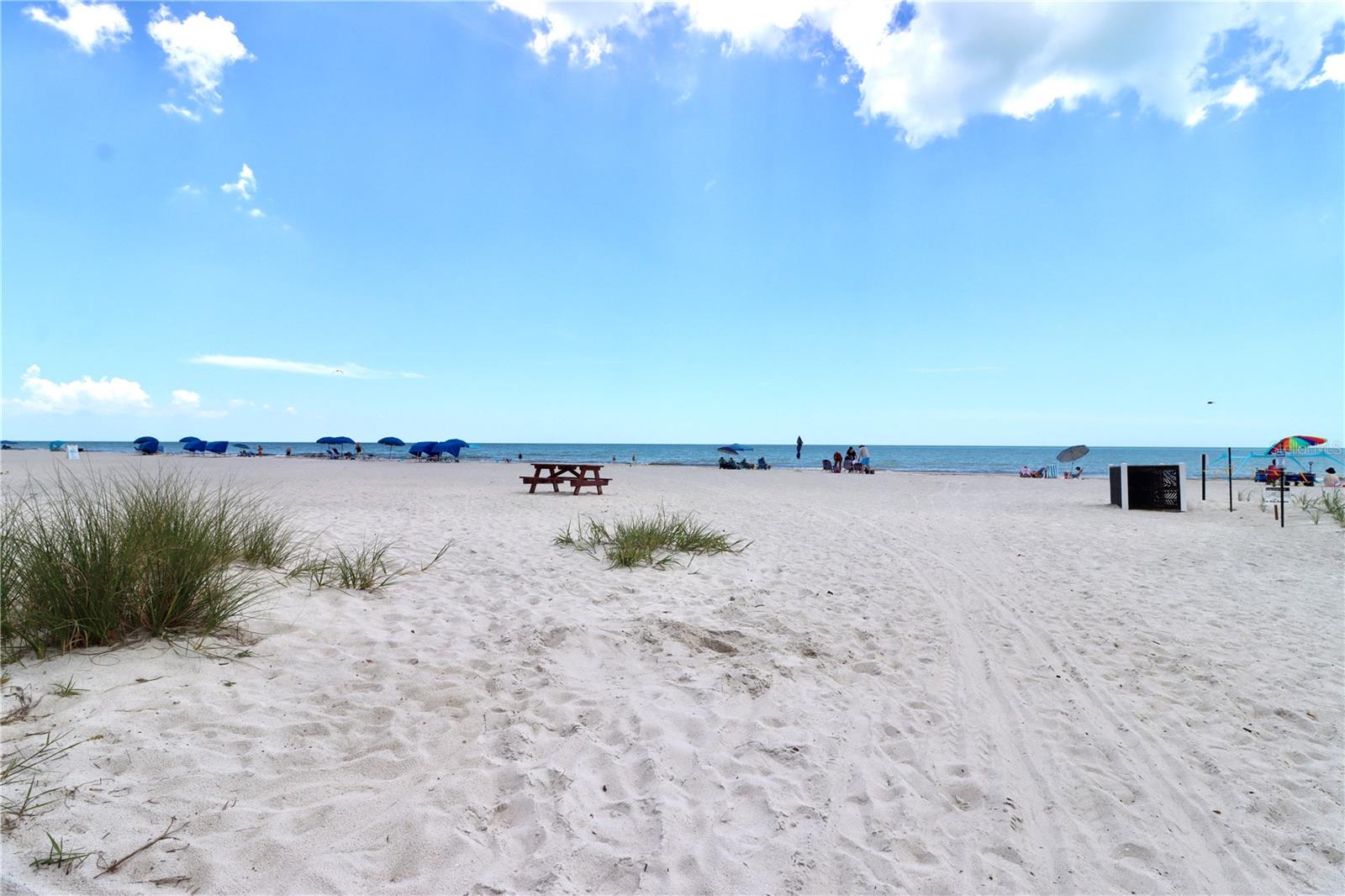 19417 GULF BLVD #D201, INDIAN ROCKS BEACH, FL — photo 39