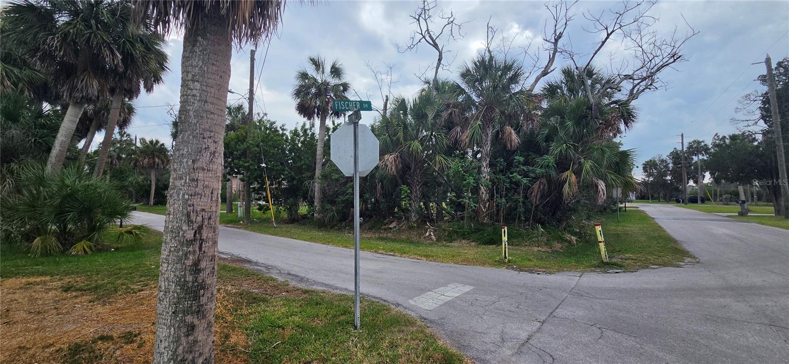 4824 DOWELL DR, PORT RICHEY, FL — photo 8