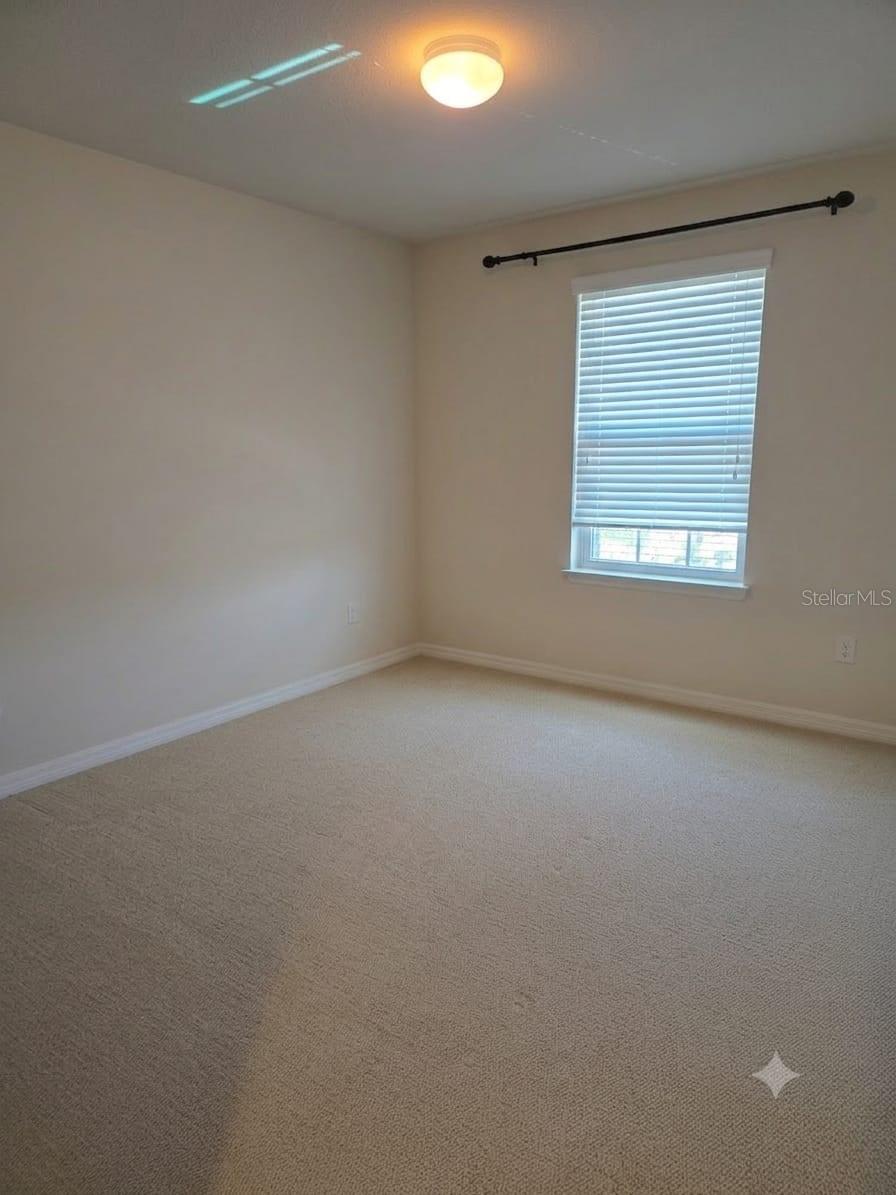 6022 SWEET BIRCH DR, RIVERVIEW, FL — photo 13