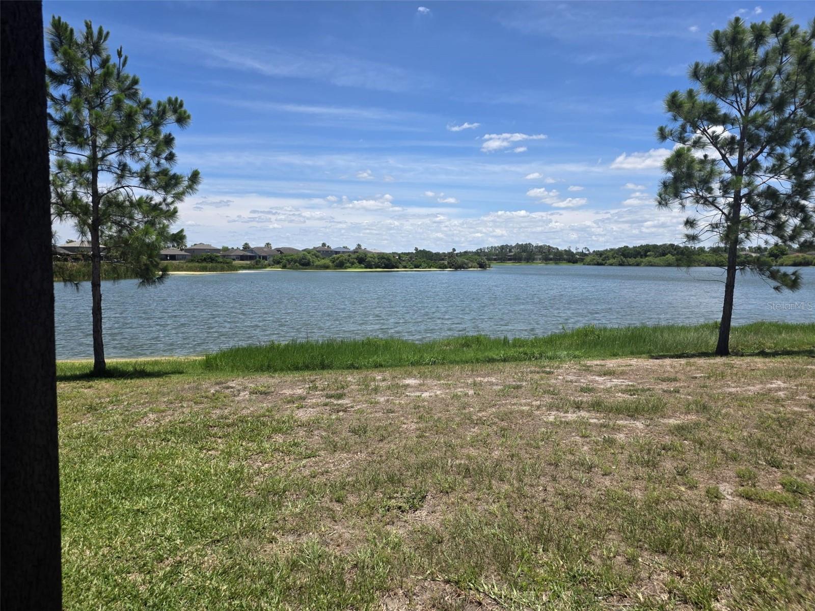 6022 SWEET BIRCH DR, RIVERVIEW, FL — photo 19