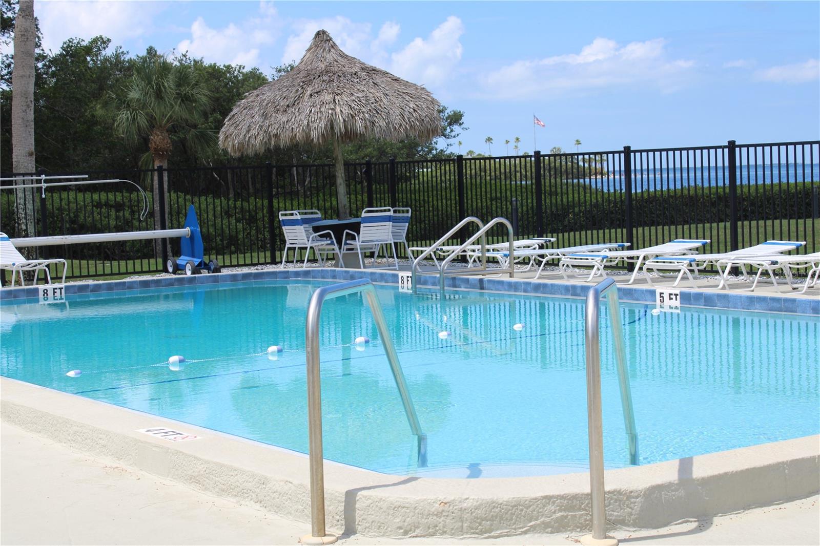 335 WINDRUSH LOOP #335, TARPON SPRINGS, FL — photo 16