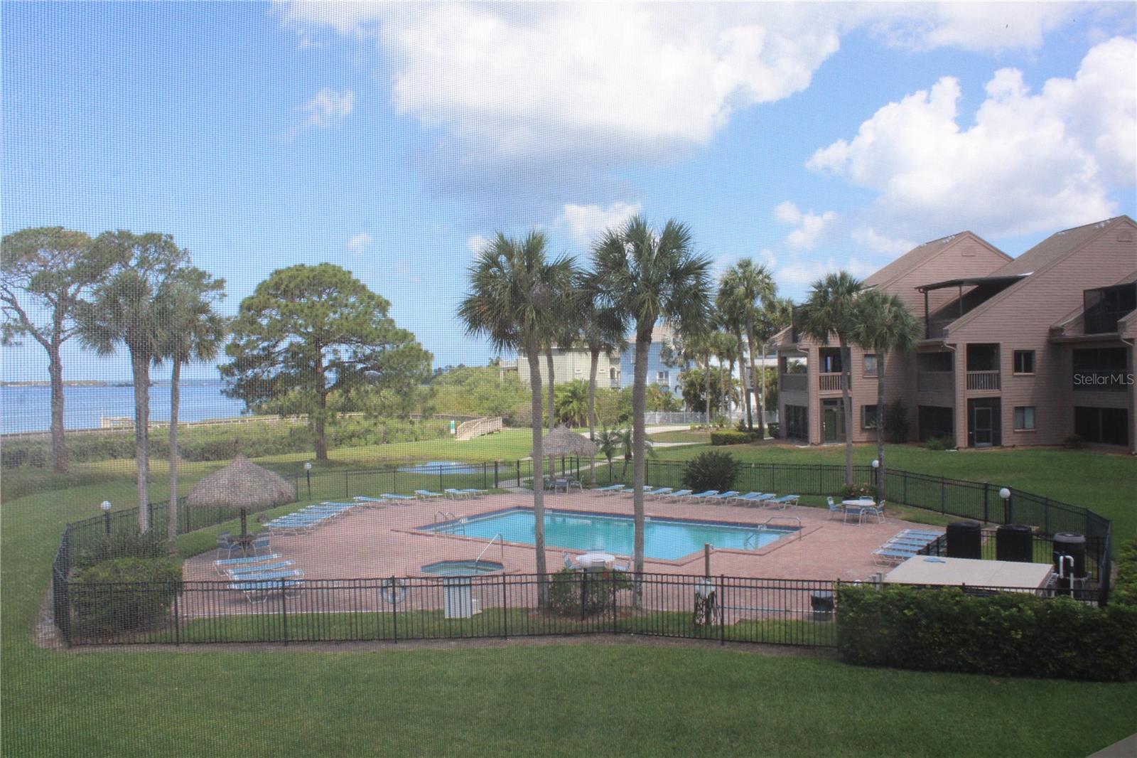 335 WINDRUSH LOOP #335, TARPON SPRINGS, FL — photo 17