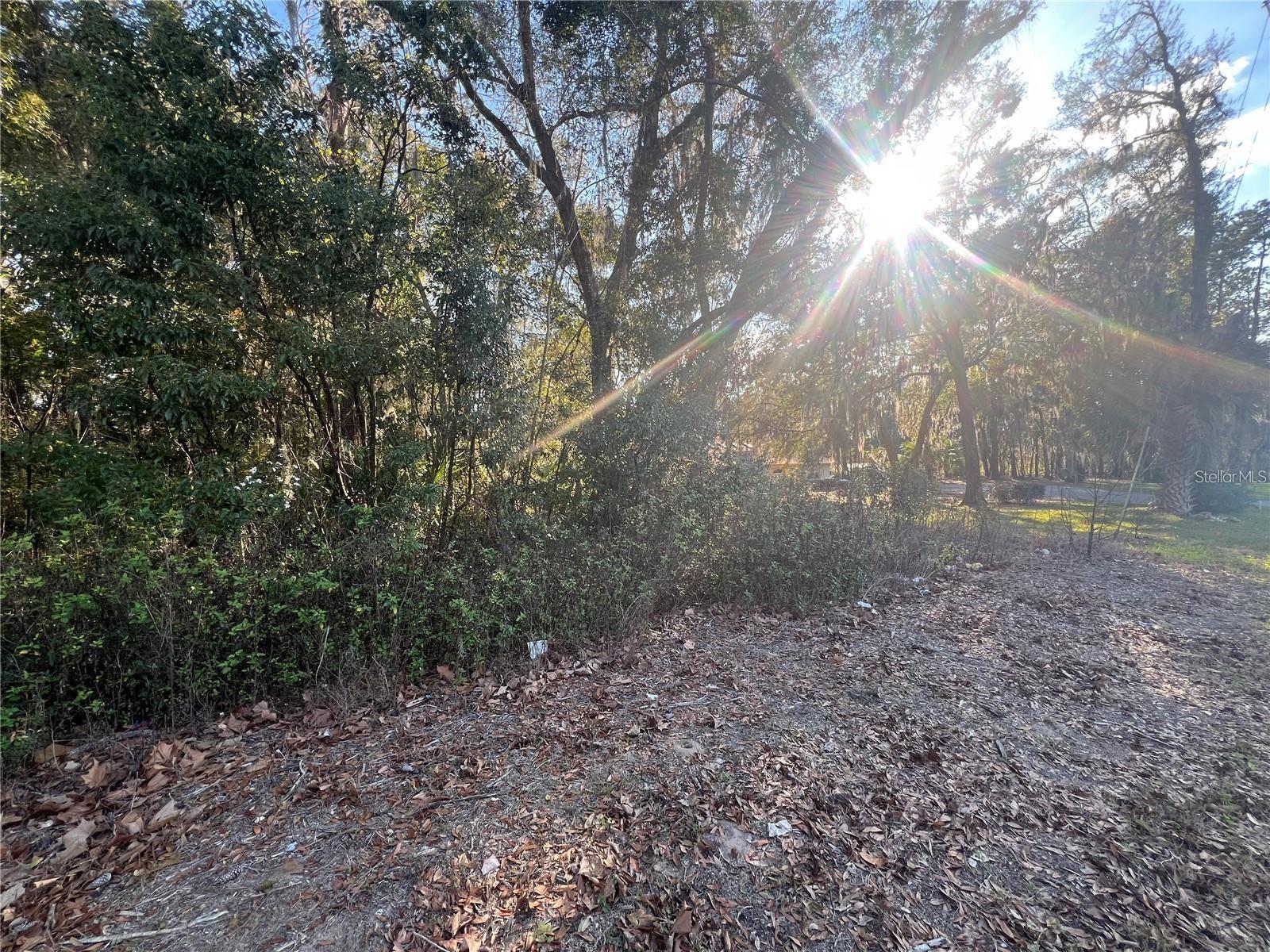 NE 14TH ST, OCALA, FL — photo 2