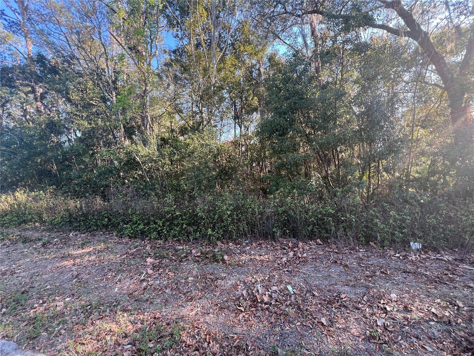 NE 14TH ST, OCALA, FL — photo 4