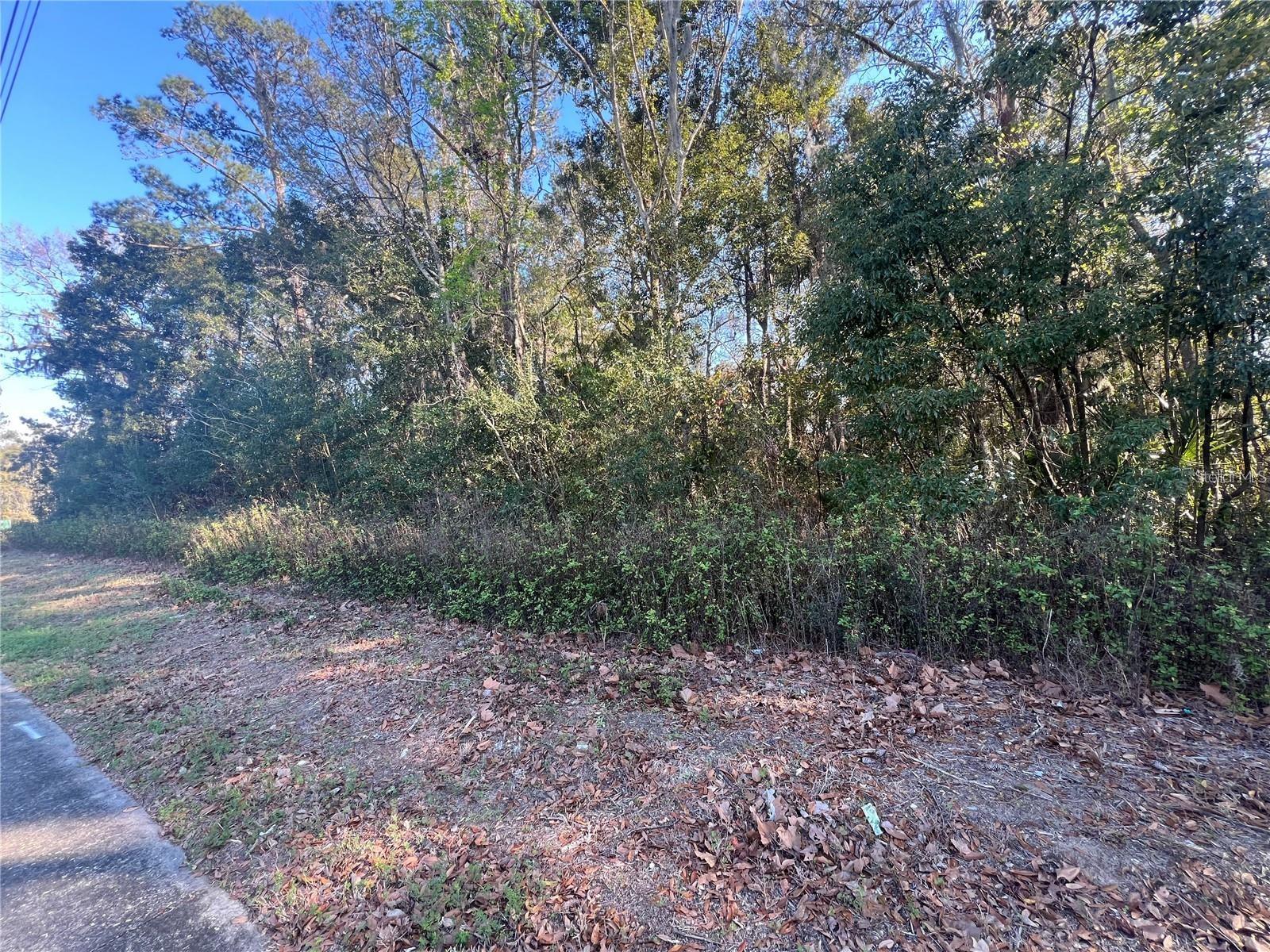 NE 14TH ST, OCALA, FL — photo 3