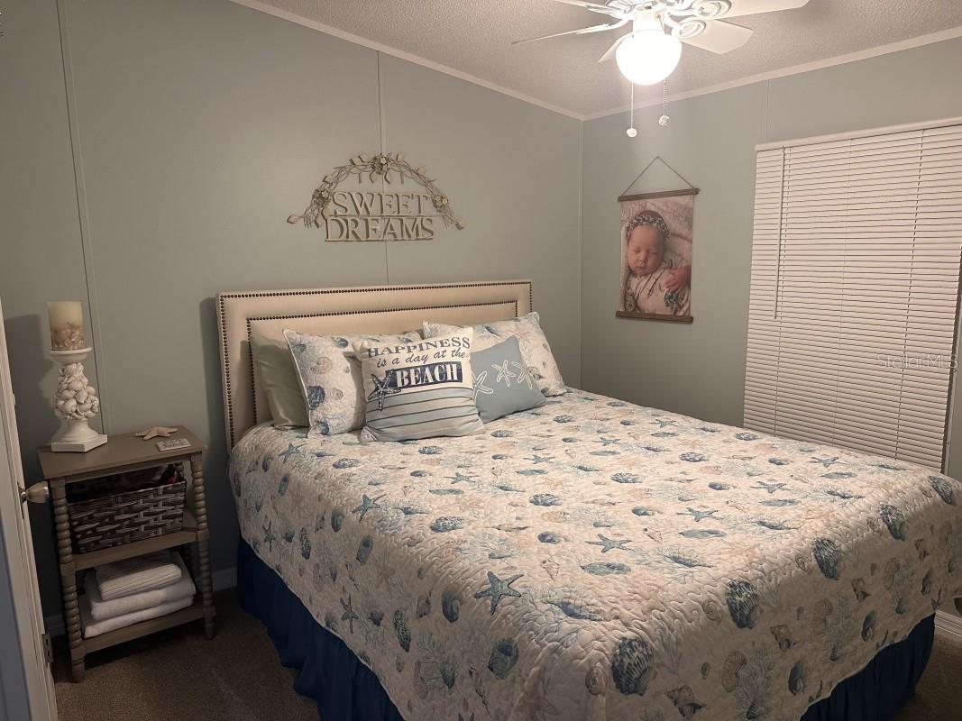 122 W SAINT ANNES CIR, APOLLO BEACH, FL — photo 9