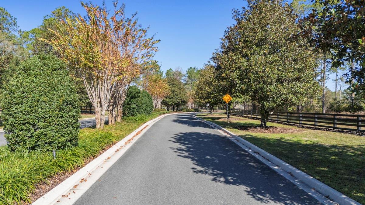 24238 DEEP SPRINGS LOOP, EUSTIS, FL — photo 9