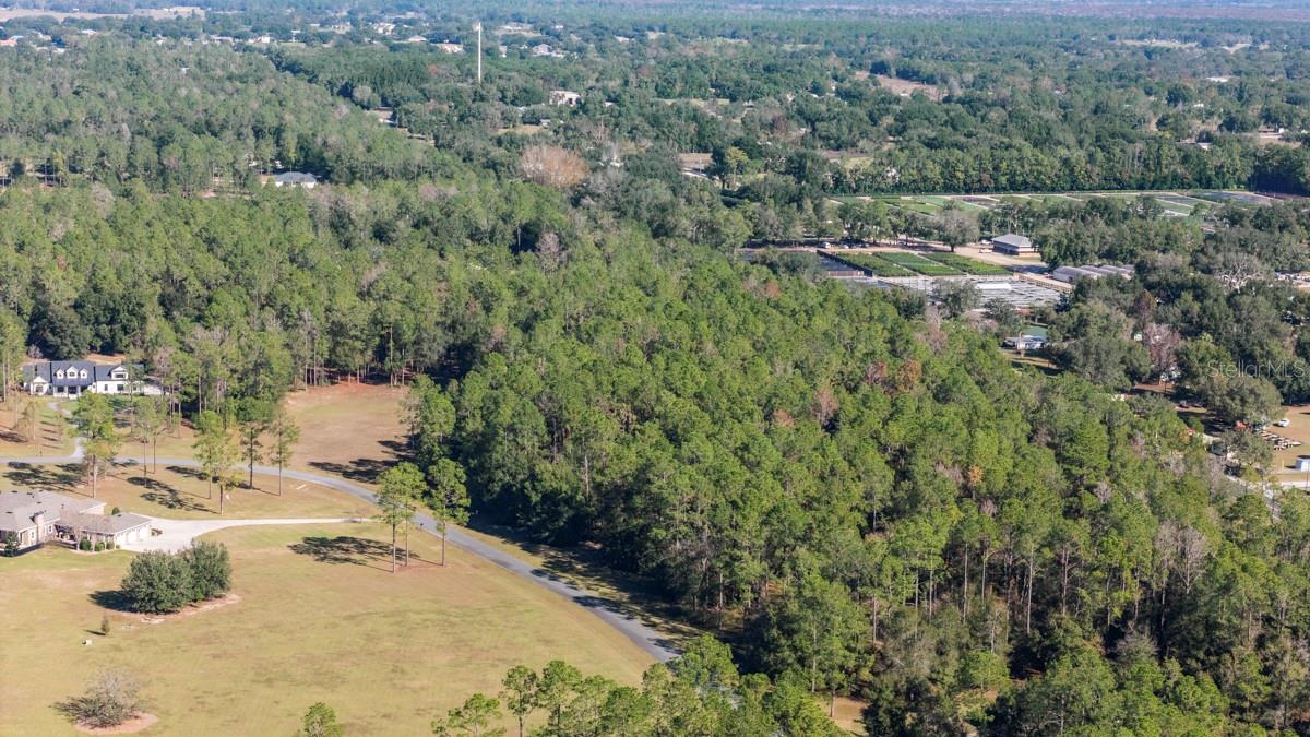 24238 DEEP SPRINGS LOOP, EUSTIS, FL — photo 12