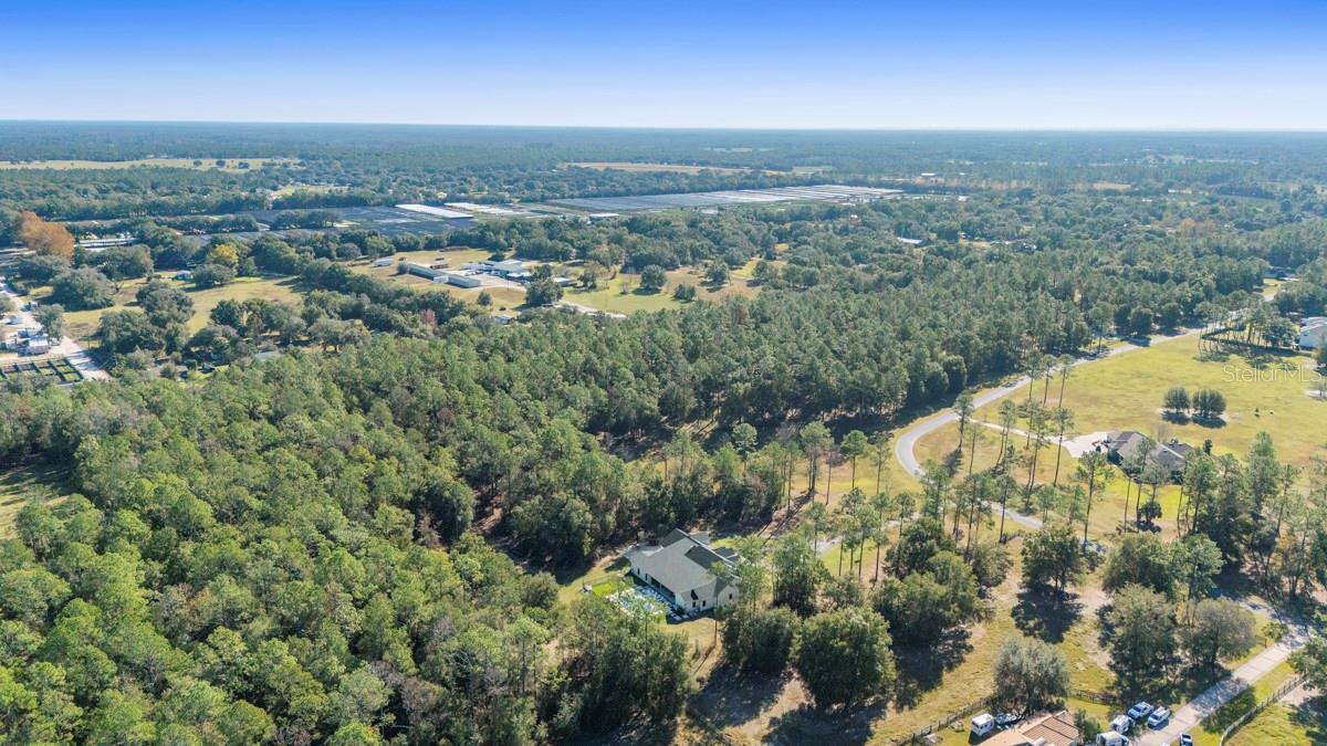 24238 DEEP SPRINGS LOOP, EUSTIS, FL — photo 15