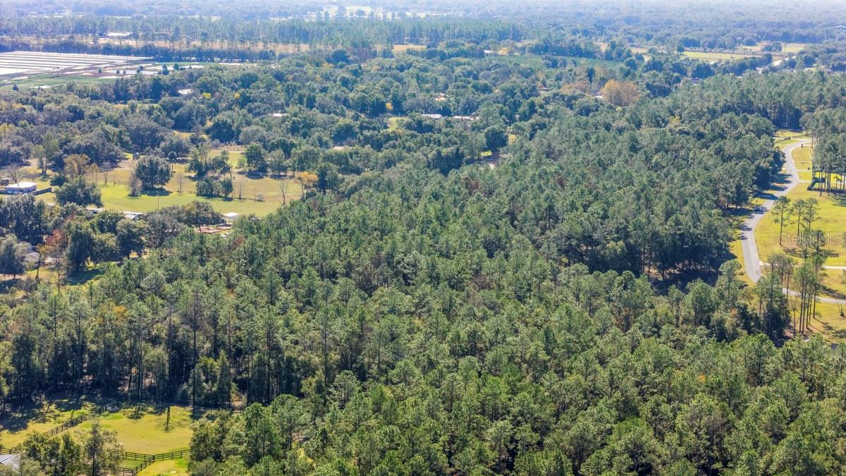 24238 DEEP SPRINGS LOOP, EUSTIS, FL — photo 17