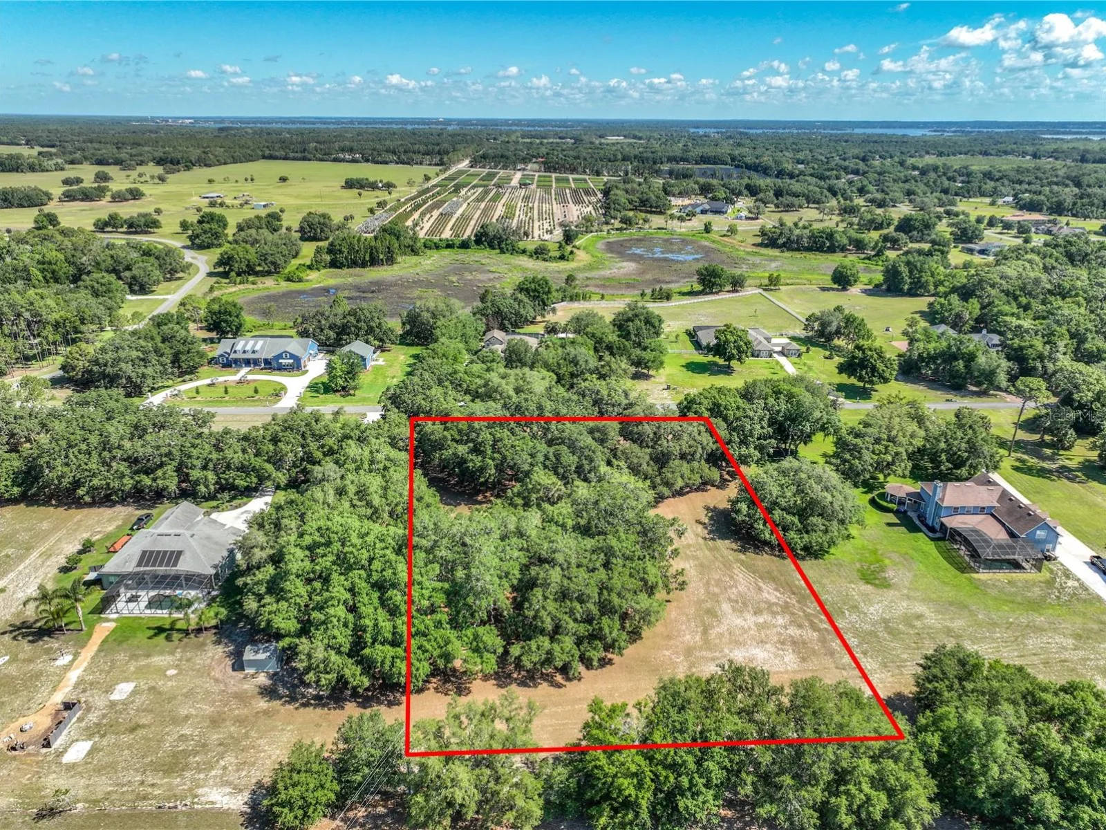 TROTTING HORSE LN, TAVARES, FL — photo 4