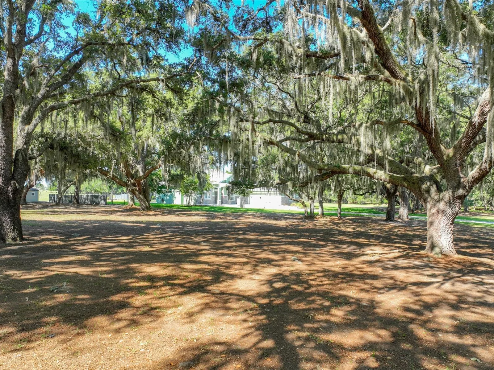 TROTTING HORSE LN, TAVARES, FL — photo 6