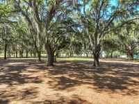 TROTTING HORSE LN — photo 11